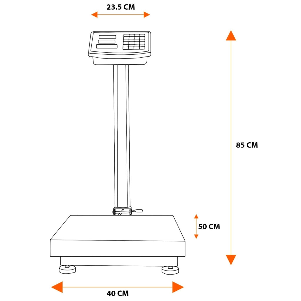Bilancia Digitale Industriale 300 kg Con Piattaforma 40 X 50 Cm Display LCD Retroilluminato ad Asta Pieghevole In Acciaio Inox Batteria Ricaricabile 20h e Spegnimento Automatico Argento