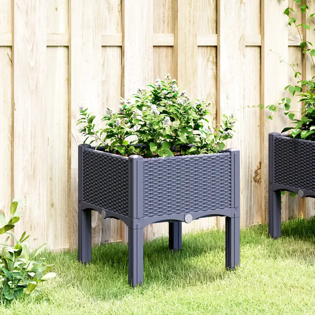 Fioriera | Cassetta per fiori | Vaso da Giardino con Gambe Grigio Blu 40x40x42 cm in PP