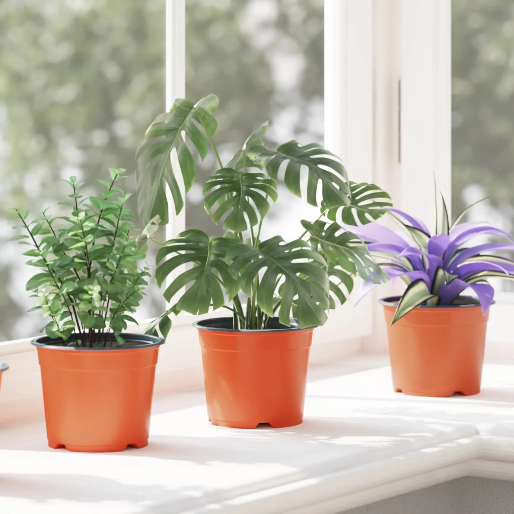 Vaso Rotondo per Fiori 200 pcs Terracotta Ø 10 x 8 cm Plastica