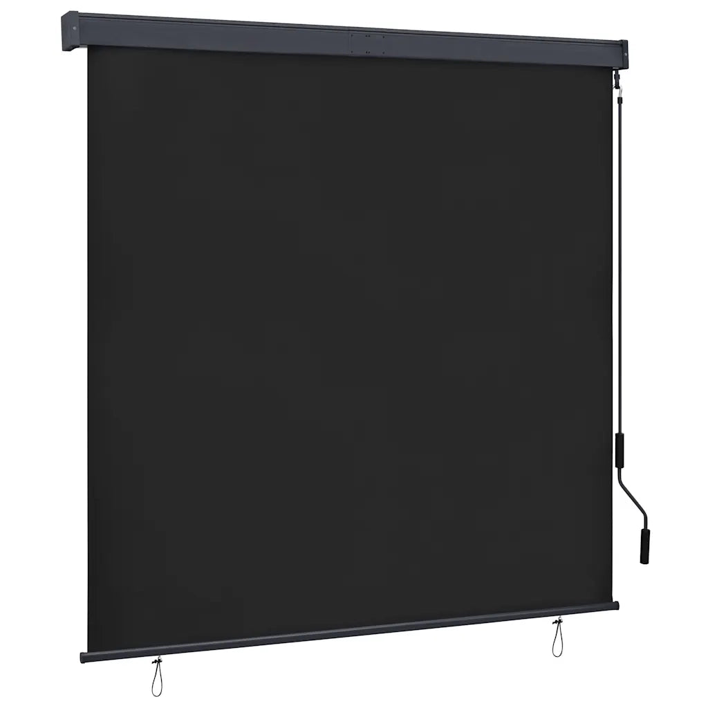 Tenda a Rullo per Esterni 160x250 cm Antracite cod mxl 68273