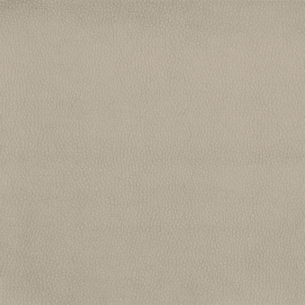 Talamo Italia Letto contenitore singolo Mozart, Made in Italy, Struttura in ecopelle imbottita, Adatto a materasso 80x190 cm, Panna