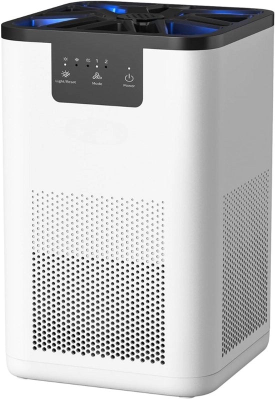 Purificatore d'aria con filtro HEPA - Umidificatore e pulitore d'aria per allergici