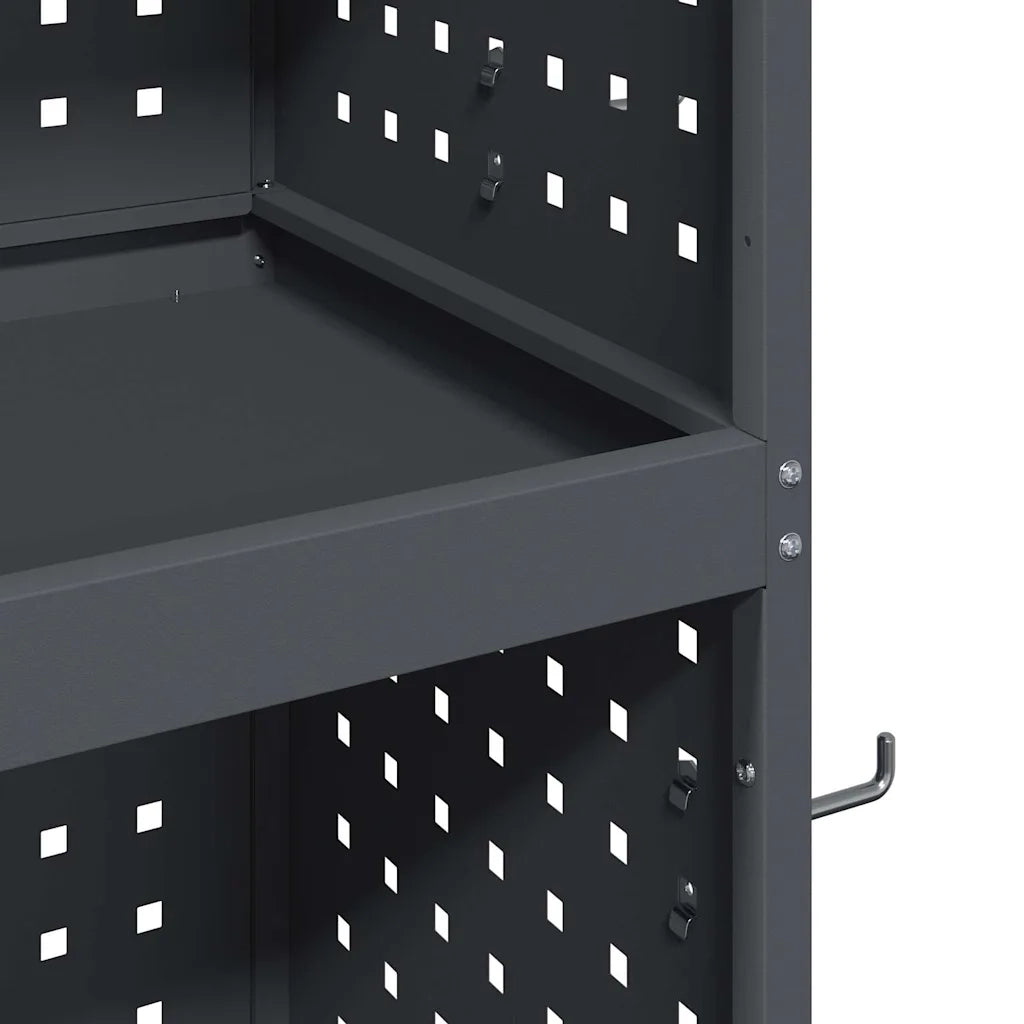 Carrello per Attrezzi con ruota Antracite 65 x 35 x 111 cm CFW8420596