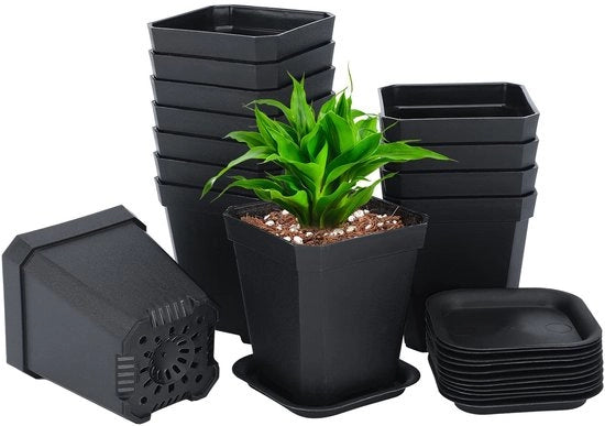 Piantagione in plastica nero per 12 piante - con fori di drenaggio - adatto per piante grasse - ideale per balcone e giardino