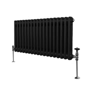 Termosifone Radiatore a 2 colonne per riscaldamento centralizzato orizzontale Nero 30x83cm