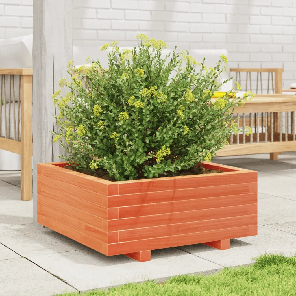 Fioriera Giardino Marrone Cera 60x60x26,5cm Legno Massello Pino 847300