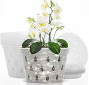 Set di vasi per orchidee - Bacinelle in plastica - Interno Esterno - Ventilazione migliorata - Draining - 4 pollici - 8 pezzi - Translucido