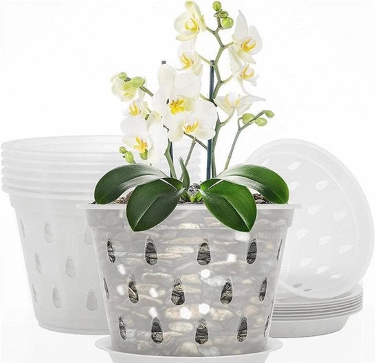 Set di vasi per orchidee - Bacinelle in plastica - Interno Esterno - Ventilazione migliorata - Draining - 4 pollici - 8 pezzi - Translucido