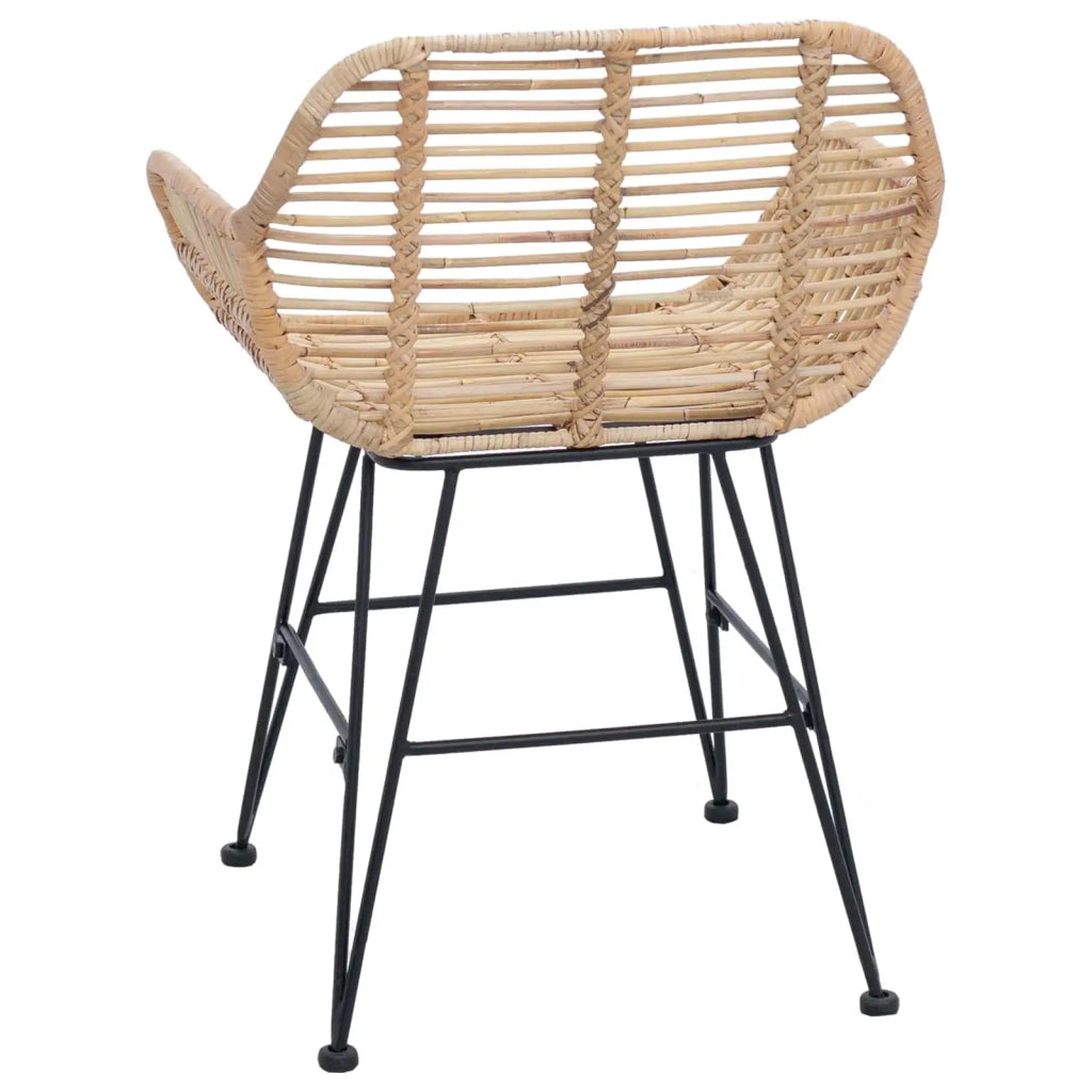 Sedia da pranzo 2 pcs Rattan e Ferro Naturale 55 x 50 x 74 cm