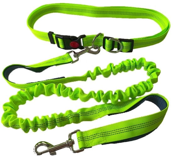 Cinturone Handsfree per Cani con Cinturino Adattabile per la Caviglia - Ideale per Jogging