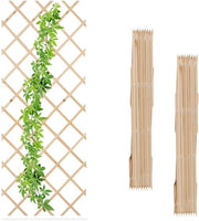 Set di rete per piante - 3 pezzi - 180 x 90 cm - per muro - per piante rampicanti - naturale