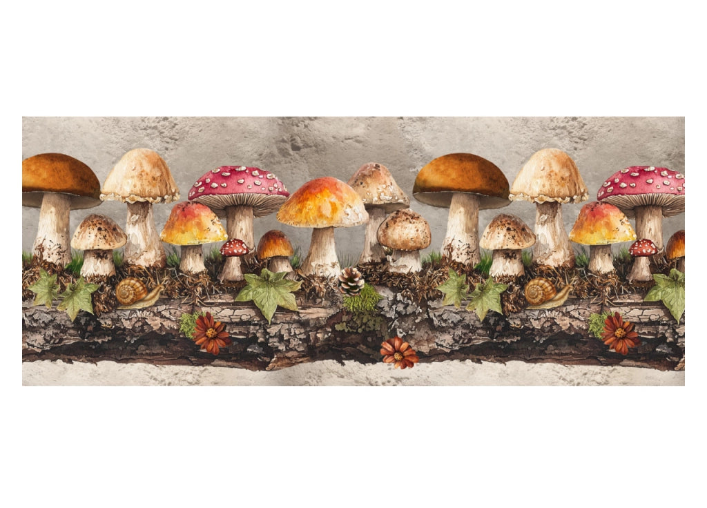 Tappeto Passatoia Cucina Antiscivolo Con Stampa Digitale Dis. Funghi 2657 - 50x115 - Funghi