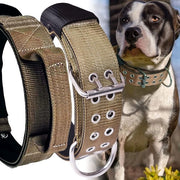 Collare per cani - 5 cm largo - per cani grandi - nylon