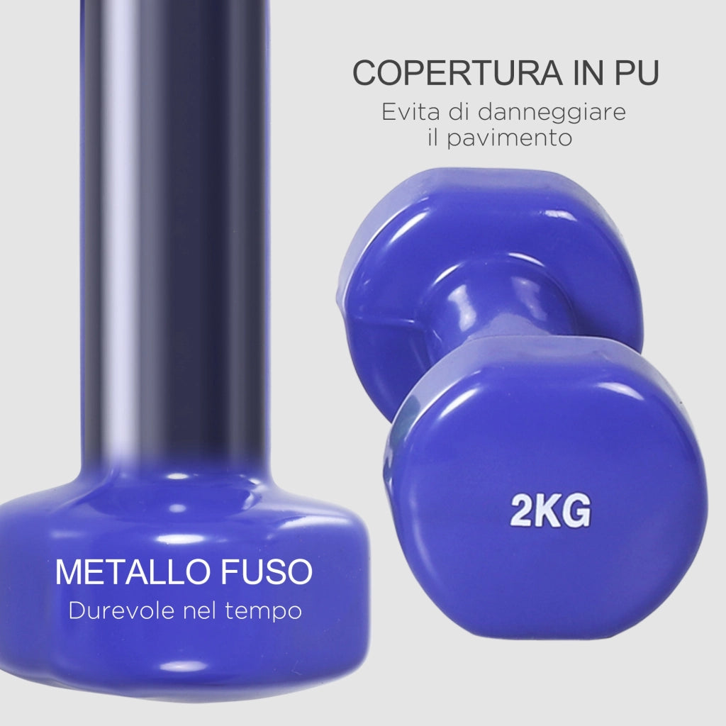 Manubri Pesi, Set Manubri Palestra da 10kg con Valigetta 4 Paia di Manubri Colorati, Fucsia, Giallo, Verde, Viola, Grigio, (2x0.5kg, 2x1kg, 2x1.5kg, 2x2kg)