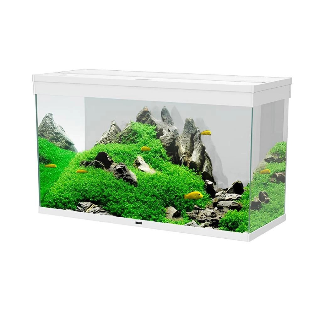 Ciano Emotions Nature Pro 100 LED Senza Supporto Colore: Bianco