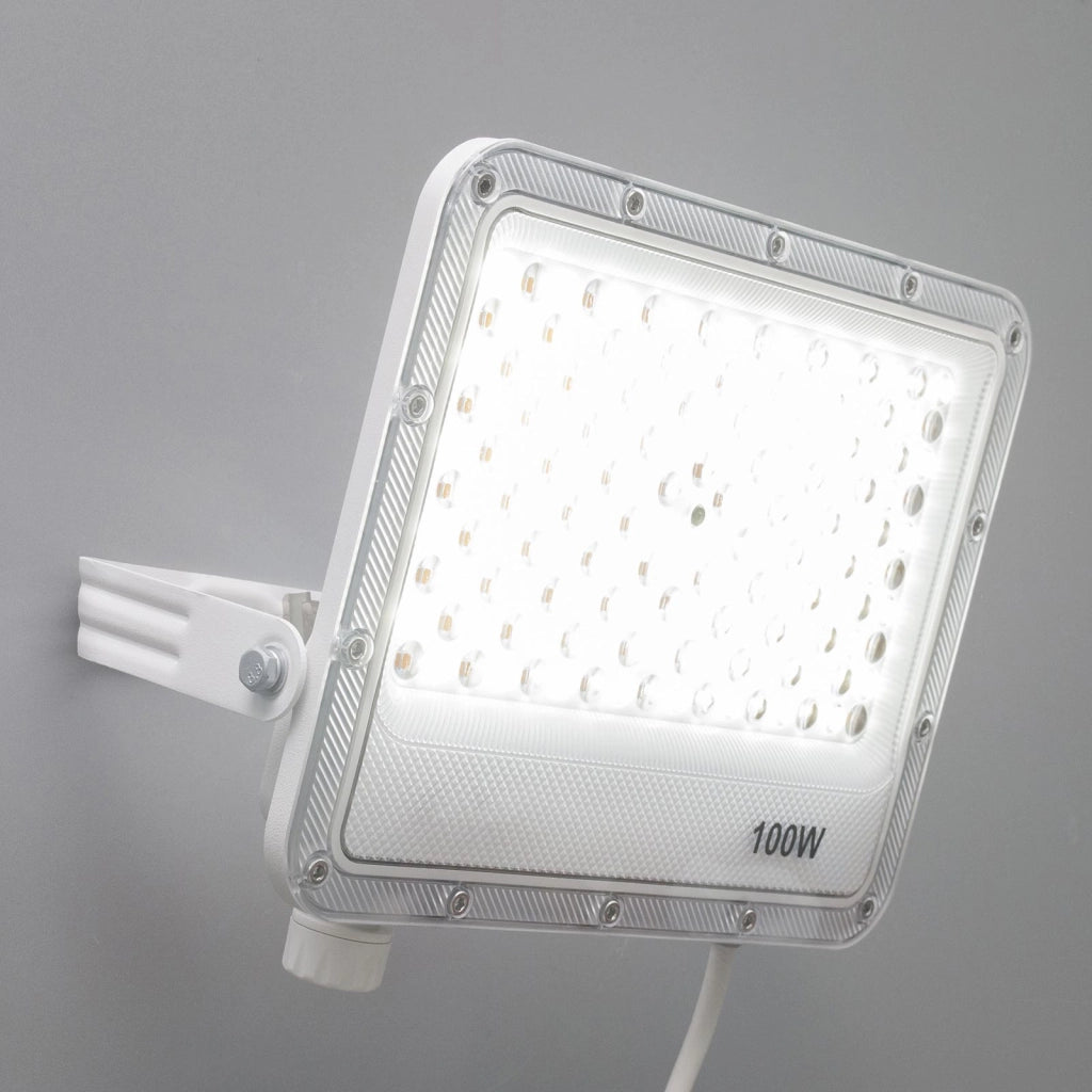 Faro slim per esterno LED IP65 con interruttore CCT da 3000K a 6500K faretto bianco staffa luce giardino insegna tabella 100W