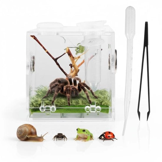 Casa per Rettili e Insetti - Progettata per un Utilizzo Pratico - Terrario in Acquario - Box per Spedizioni - Transparente - Aperture di Ventilazione - Formato Spaziale Ridotto - Rifugio per Insetti