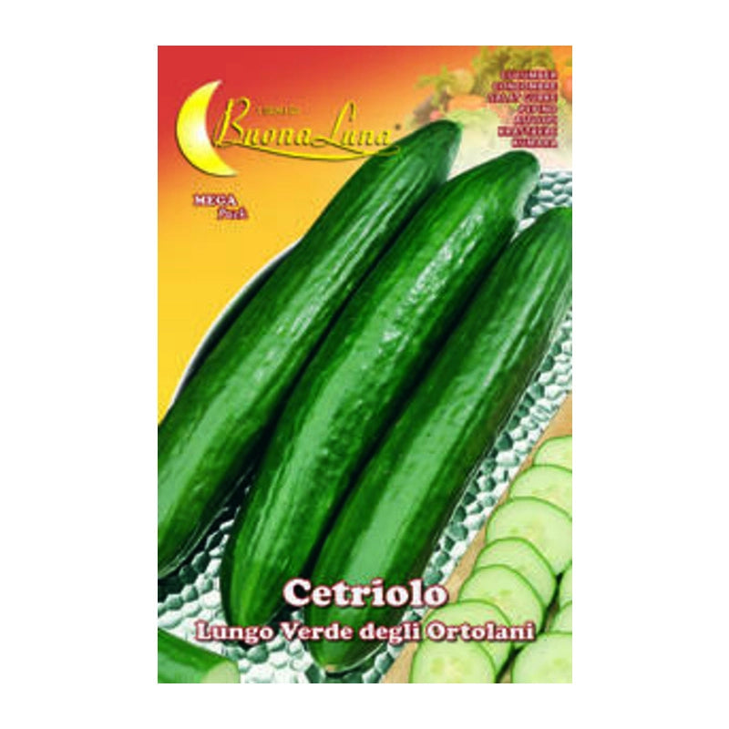 SEMI ORTO CETRIOLO VERDE- HORTUS SEMENTI- 10,0 pz