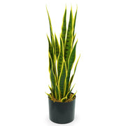 Sansevieria Artificiale pianta h 70 cm sfumature naturali contorni giallo-verdi