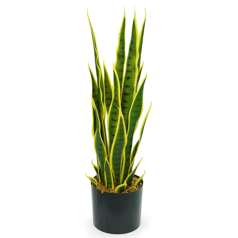Sansevieria Artificiale pianta h 70 cm sfumature naturali contorni giallo-verdi