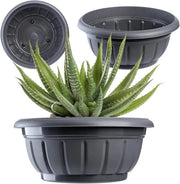Bowl fiorale in plastica - Pianta per esterno resistente all'usura - 20 cm antracite