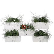 FIORIERE FIORIERA KIT COMPONIBILE 5 PEZZI BRICK CM. 59x23x27H