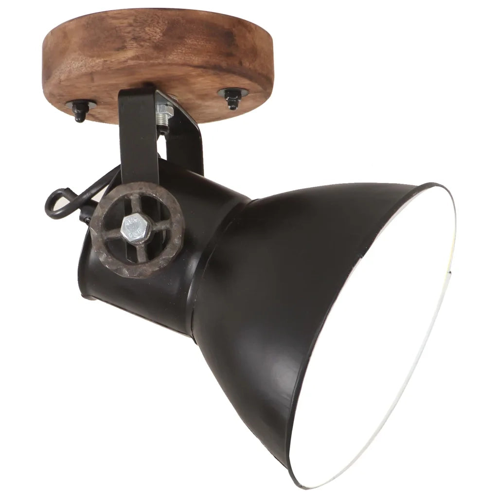 Lampade da Parete/Soffitto 2 pz Industriale Nere 20x25 cm E27 CFW6227910