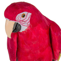 Pappagallo H 70 cm