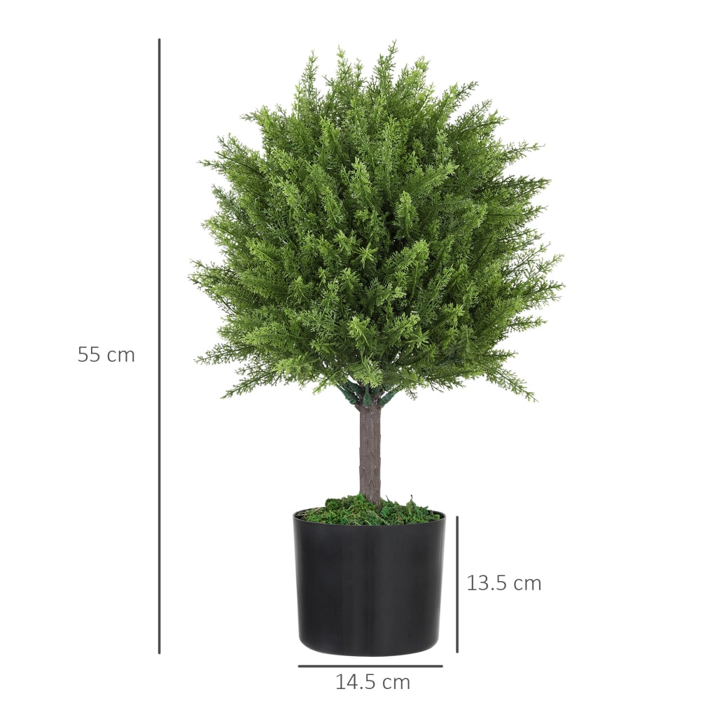 Albero di Cedro Finto ¨C Xylo ¨C 55 cm, Verde, con Vaso