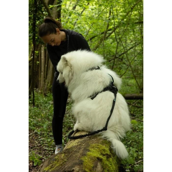Pettorina per cani - SYMBIOZ - S - Nera / Blu