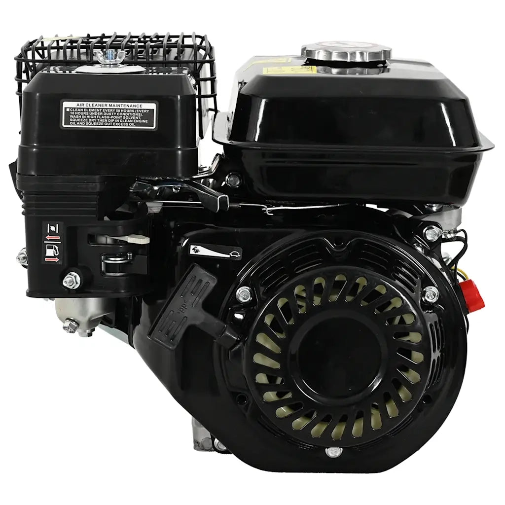 Motore a Benzina Nero 6,5 HP 4,8 kW CFW6905242