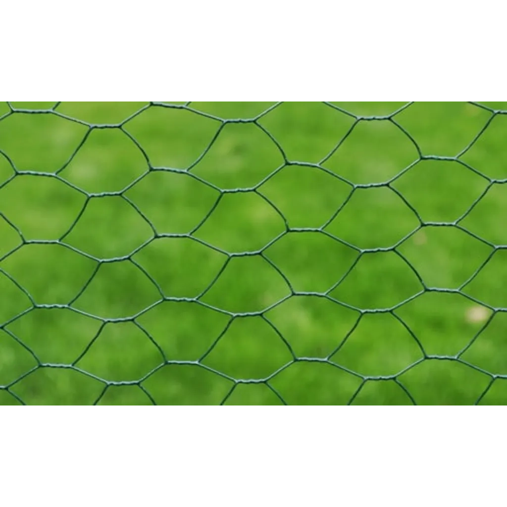 Recinzione in Rete per Pollaio Rivestita in PVC 25x1 m Verde