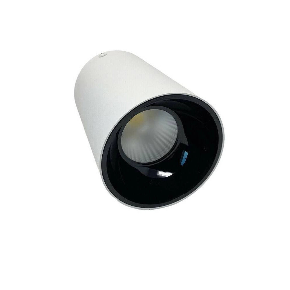 Trade Shop - Faretto Plafoniera Soffitto 20w Applique Cilindro Led Cob Vari Toni Luce F20w-5b -