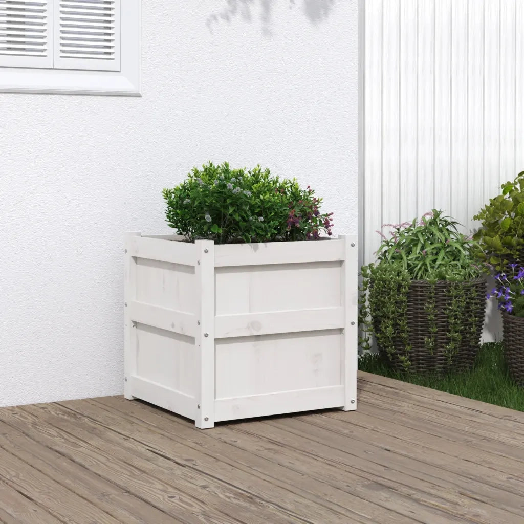 Fioriera da Giardino Bianca 50x50x50 cm Legno Massello di Pino 837416