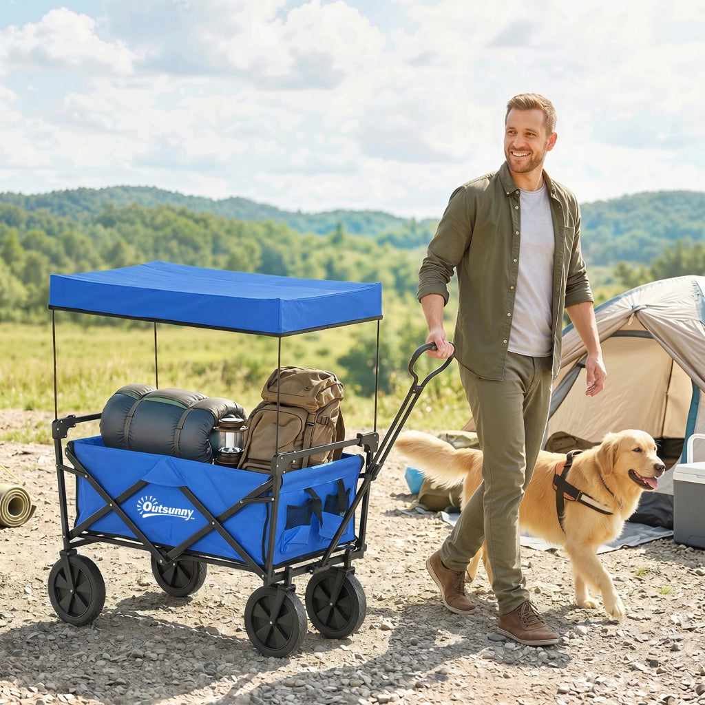 Carrello Pieghevole con Telo e Borsa Trasporto ¨C Zephmum ¨C Blu, 100 kg