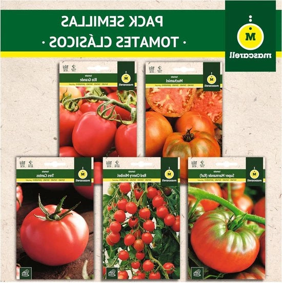 Pacchetto di Semi di Pomodoro Classici Facili da Coltivare a Casa Contiene 5 Varietà di Pomodori deliziosi 37 Grammi