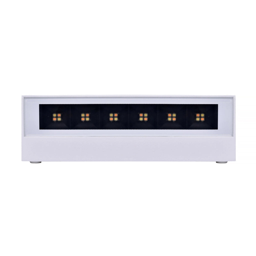 Applique Bianco a LED da Esterno IP65 Biemissione 14W con Selettore Colore, 1100 Lumen, Luce Calda Naturale Fredda, Alluminio, per Facciata