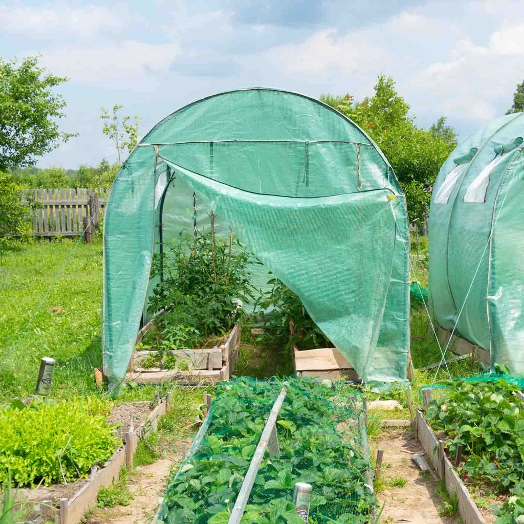 Serra da coltivazione 3x6 M serra da giardino con struttura a tunnel in acciaio zincato e copertura in PE retinato. Greenhouse da 18mq 300x600x190cm