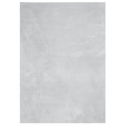 Tappeto del soggiorno | Tappeto a Pelo Corto HUARTE Morbido e Lavabile Grigio 200x280cm