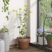 Supporti per Piante da Giardino 20 pz Verde Scuro 40 cm Acciaio 319362
