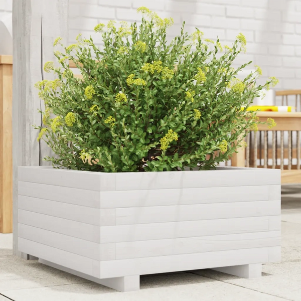 Fioriera da Giardino Bianca 50x50x26,5cm Legno Massello di Pino 847294