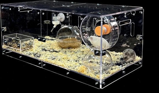 Pacco per Hamster - Treno acqua nutrizione sabbia camera da gioco gallerie rifugi per hamster topi gerbils - inclusa Loft di Guinée