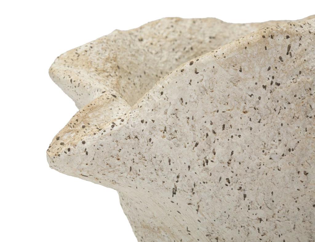 Vaso Shell Sand 35x23x18 cm in Mgo Beige