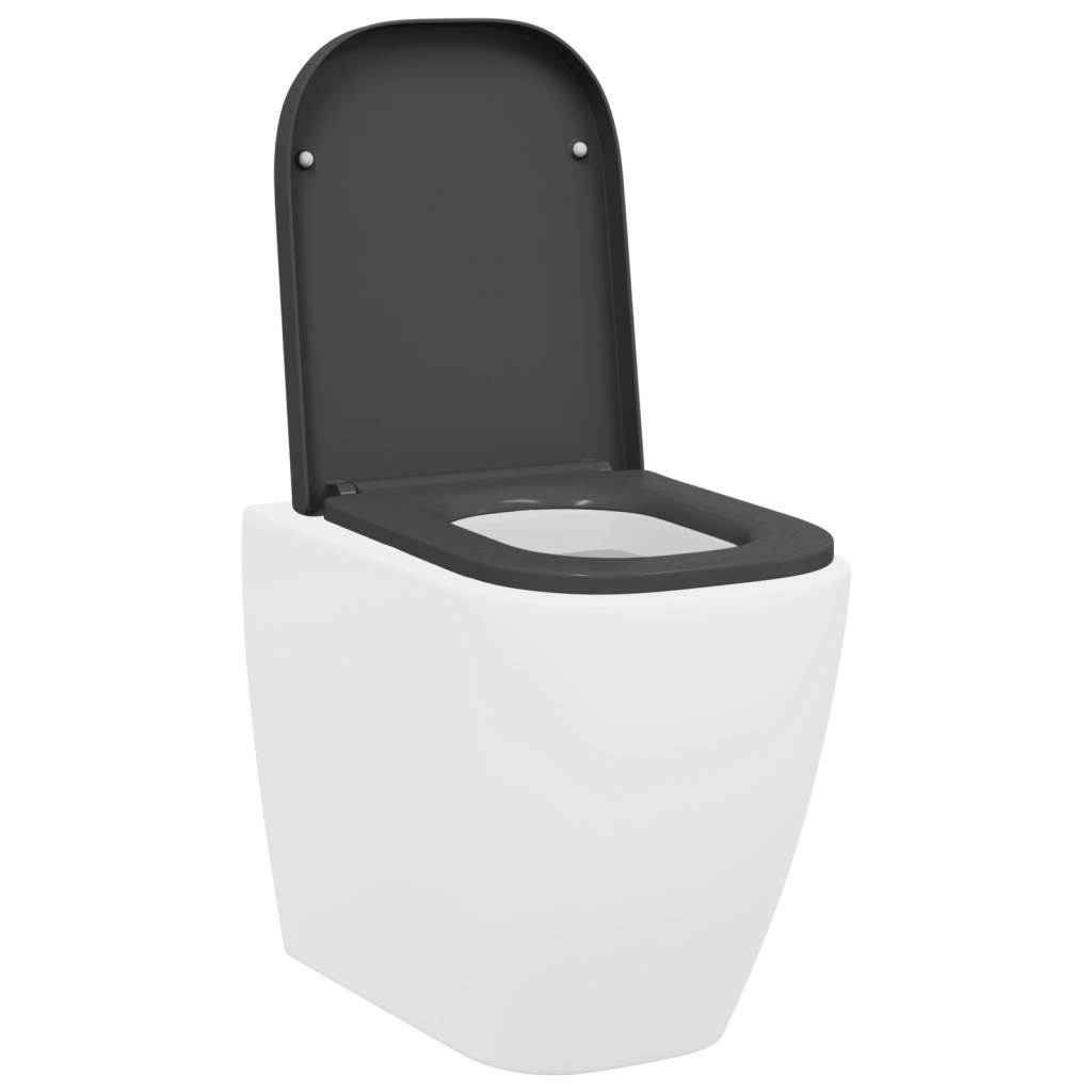 Sedile del WC a rilascio rapido con chiusura morbida in Duroplast Antracite