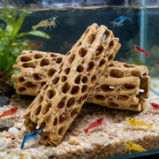 Decorazione per Acquario Holle Legno - 2 Pezzi - Verniciatura - Rifugio per Gamberi/Crostiti - Decorativo - 14,5 x 5 cm - Accessori per Acquario