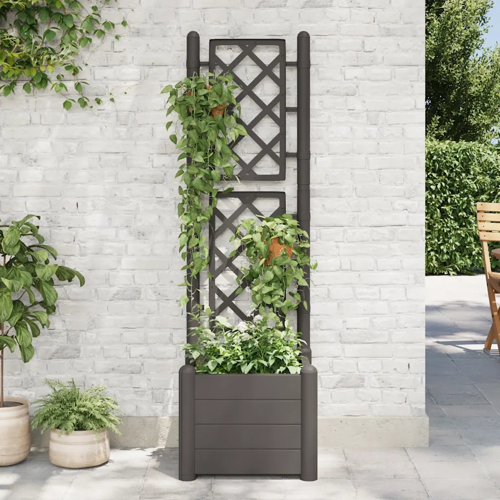 Fioriera | Cassetta per fiori | Vaso da Giardino con Graticcio 43x43x142 cm PP Antracite