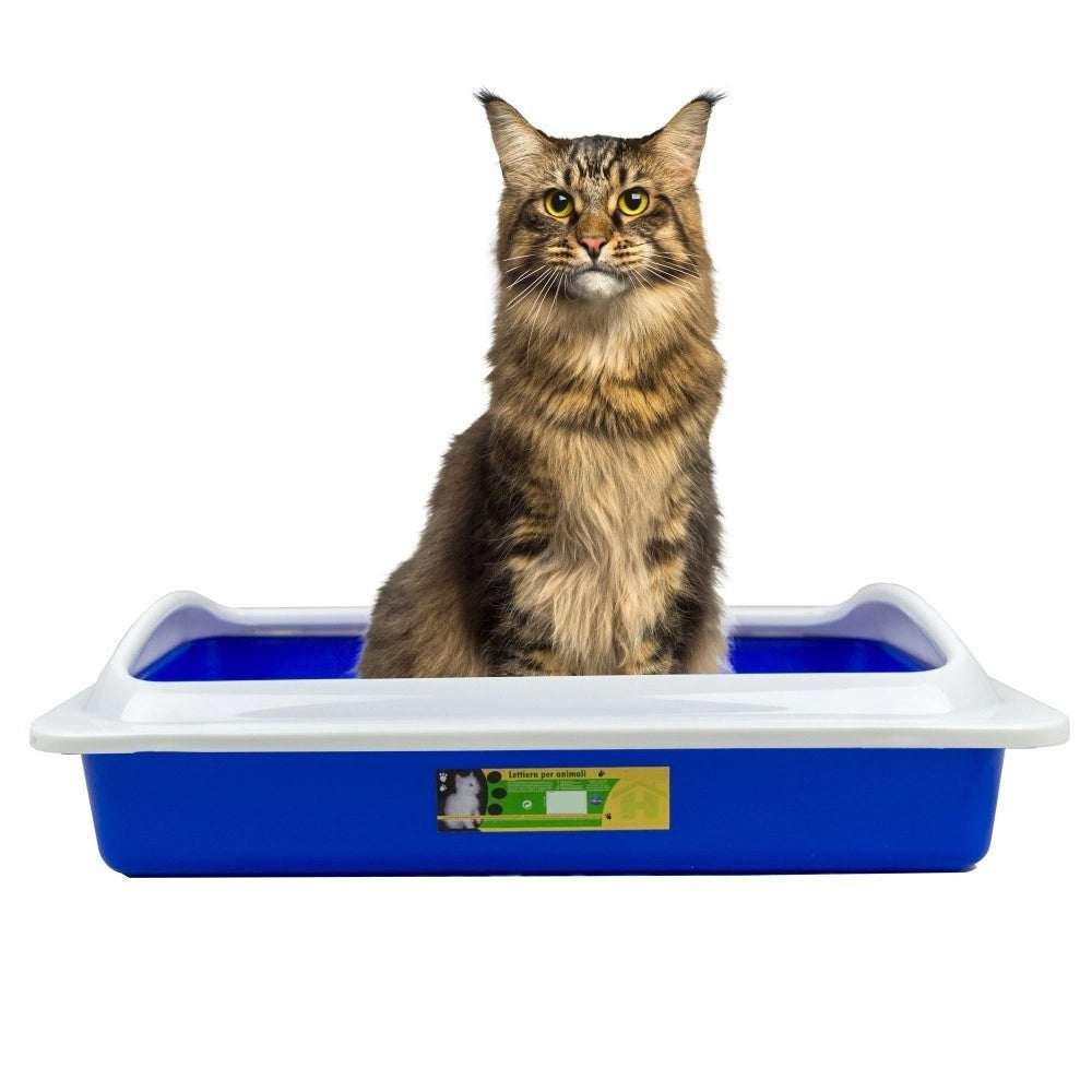 Trade Shop - Welkhome Lettiera Con Bordo Rialzato Smontabile Per Gatti Gatto 35 X 45 X 10 Cm -