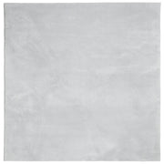 Tappeto del soggiorno | Tappeto a Pelo Corto HUARTE Morbido e Lavabile Grigio 120x120cm