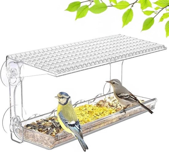 Casa per uccelli - Grande ricovero trasparente 245 x 10 x 14 cm con vasca per uccelli - Ricovero per uccelli rimovibile con 2 cassette e staffa antiscivolo - Viti per fissaggio per piccoli uccelli selvatici