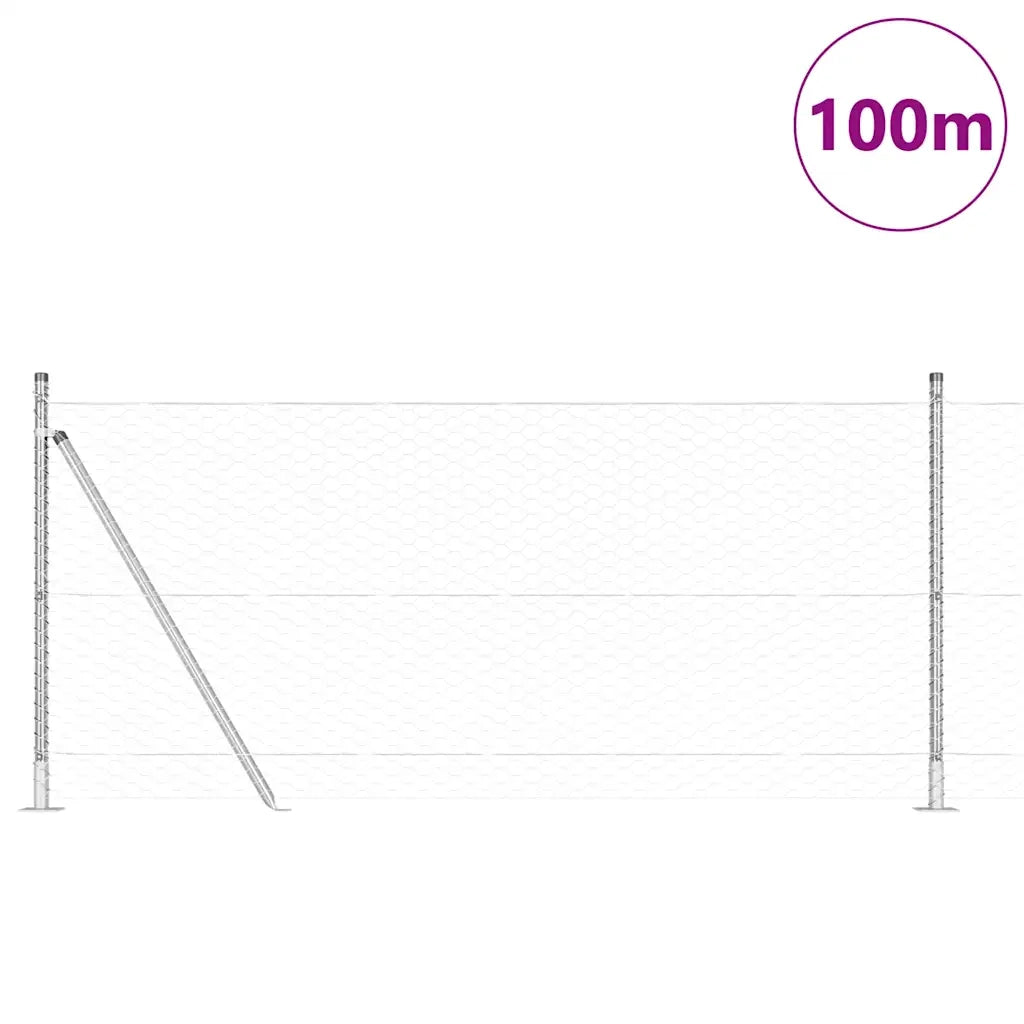 Palo della recinzione Argento 100 x 1 m (rete da 36 mm) Acciaio